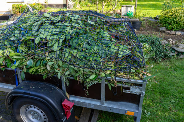 Best Construction Debris Removal  in Boone, IA